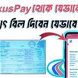 নেক্সাস পে