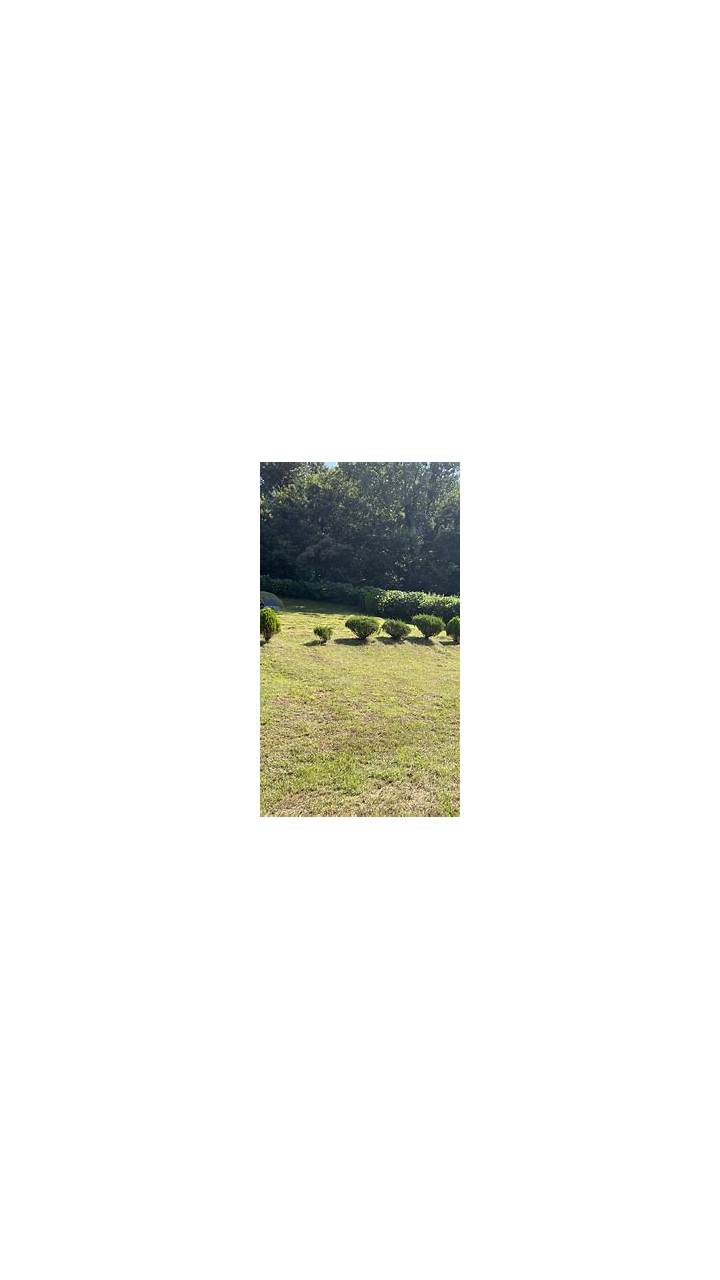 স্ক্রিনশট