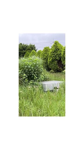 স্ক্রিনশট
