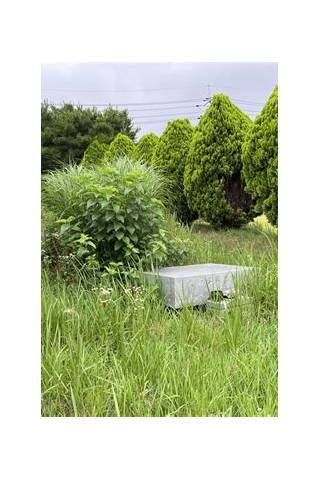 স্ক্রিনশট