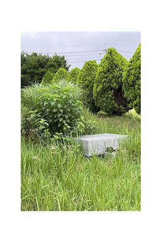 স্ক্রিনশট